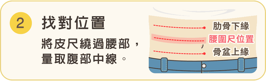 步驟 2 找對位置：將皮尺繞過腰部，量取腹部中線。圖示標出肋骨下緣、腰圍尺位置、骨盆上緣。