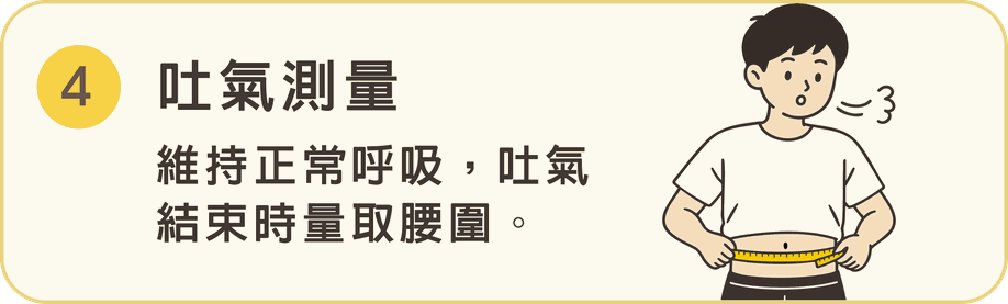 步驟 4 吐氣測量：維持正常呼吸，吐氣結束時量取腰圍。